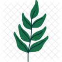 Botanico Follaje Ramita Icono