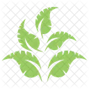 Forma Naturaleza Inspiracion Icono