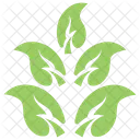 Naturaleza Inspiracion Ramita Icono
