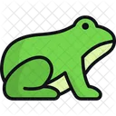 Rana Anfibios Fauna Icon