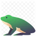 Rana  Icono