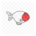 Ranchu goldfish  Icon
