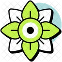 Rangoli Decoration Celebration Icon