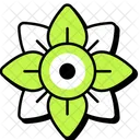Rangoli  Icon