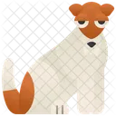 Raposa  Ícone