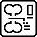 Radiographie Rapport Os Icône
