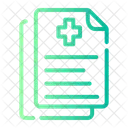Rapport De Sante Document Dossier Icône