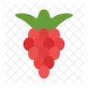 Raspberries Food Delicious Icon