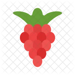 Raspberries  Icon