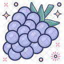 Raspberries Organic Fruict Icon