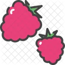 Raspberries Berry Food Icon