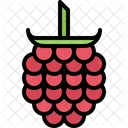 Raspberries Fruit Food Icon