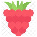 Raspberries Berry Sweet Icon