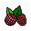Raspberries Raspberry Plant Icon