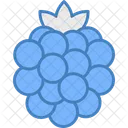 Raspberries Icon
