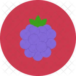 Raspberries  Icon