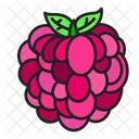 Raspberry Berry Vegetable Icon