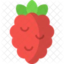 Raspberry Berries Fruit Icon