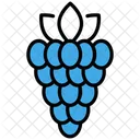 Raspberry Icon