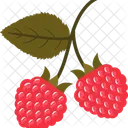 Raspberry  Icon