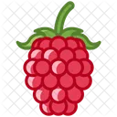 Raspberry Fruit Fit Icon