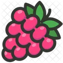 Raspberry Fruit Berry Icon