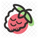 Raspberry Dessert Food Icon