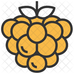 Raspberry Icon