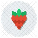 Healthy Fruit Raspberry Berry Icon