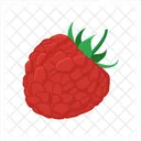 Raspberry Rasp Berry Icon