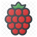 Raspberry Health Food Icon