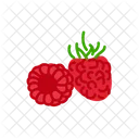 Raspberry Icon