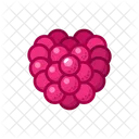 Raspberry Fruits Fruite Icon