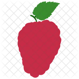 Raspberry  Icon