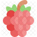 Raspberry  アイコン
