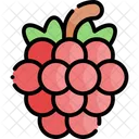 Raspberry Fruit Healthy Food Icon