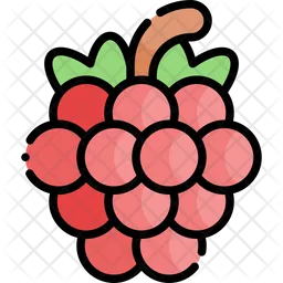 Raspberry  Icon