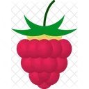 Raspberry Rubus Occidentalis Drupelet Icon