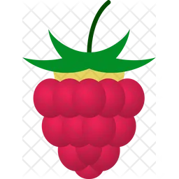 Raspberry  Icon