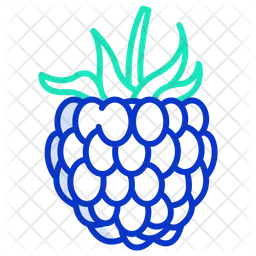 Raspberry  Icon