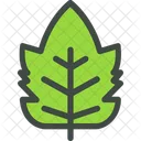 Raspberry Leaf Nature Icon