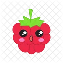 Raspberry Happy Berry Icon