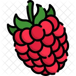 Raspberry  Icon
