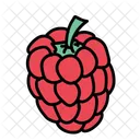 Raspberry Fruit Healthy Icon