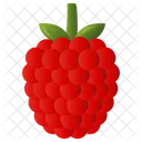 라즈베리 과일 신선한 아이콘