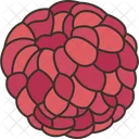 Raspberry  Icon