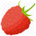Raspberry Berry Fruit Strawberry Icon