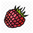 Raspberry Berry Leaf Icon