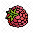 Raspberry Leaf Berry Icon