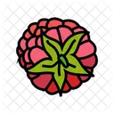 Raspberry Ripe Delicious Icon